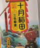 十月稻田 三色藜麥 480g (藜麥米 黎麥 輕食 五谷雜糧 大米伴侶 真空) 曬單實(shí)拍圖