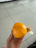 OLD ORDER-巴斯光年聯(lián)名夏季休閑滑板鞋男國潮牌厚底情侶面包鞋子 巴斯光年 41 曬單實拍圖