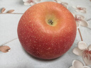 京鮮生山東煙臺(tái)紅富士 蘋果 凈重5斤單果200g+ 新鮮水果 源頭直發(fā) 曬單實(shí)拍圖