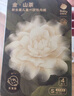 babycare山茶花兒童一次性?xún)妊潨缇慕瞧浇莾妊澛眯忻庀?男童 S碼 4條 曬單實(shí)拍圖