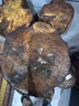 大希地芝士披薩組合 6片 共1080g 美式培根+果蔬牛肉+蜜汁雞肉各2片 曬單實(shí)拍圖