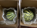 京鮮生 無(wú)籽麒麟西瓜 1粒裝 凈重5-7斤 新鮮水果 源頭直發(fā)包郵 曬單實(shí)拍圖