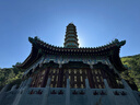 【官方正品】學(xué)之舟小學(xué)知識(shí)通數(shù)學(xué)手冊(cè)張老師推薦雪峰2025新版語(yǔ)文數(shù)學(xué)英語(yǔ)初中知識(shí)點(diǎn)匯總大全六年級(jí)小升初知識(shí)點(diǎn)匯總大集結(jié)1-6年級(jí)全國(guó)人教蘇教北師通用配套教材課外工具書旗艦店 【小學(xué)3冊(cè)】語(yǔ)文+數(shù)學(xué)+ 曬單實(shí)拍圖