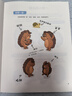 小刺猬阿奈家的24小時 緩解親子關(guān)系正向溝通 10個常見場景 親子共讀 家庭教育幼兒繪本漫畫書 化解家庭溝通沖突   曬單實拍圖