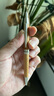 斑馬牌（ZEBRA）日本uni圓珠筆SS-1015/1025天然百年木材筆桿油性筆0.7mm商務(wù)辦公簽字筆 SS-1025原色 (細桿) 曬單實(shí)拍圖