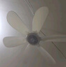 志高（CHIGO）小吊扇 小型電風扇 小風扇家用學生宿舍床上大風力6頁蚊帳扇懸掛式微風吊扇便攜小電扇 新升級-標配款6葉 曬單實拍圖