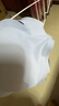 ubras花瓣杯軟支撐文胸罩細(xì)肩帶女士?jī)?nèi)衣女無鋼圈聚攏奶鹽藍(lán)-背勾M 曬單實(shí)拍圖
