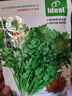 ldeal理想農業(yè) 香菜種子老品種盆栽耐熱耐抽薹小葉大葉夏季濃香菜種籽 曬單實(shí)拍圖