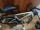 喜德盛公路自行車(chē)2025款AD300成人騎行運動(dòng)健身學(xué)生變速車(chē)單車(chē) 白蛇 20速 540mm 曬單實(shí)拍圖