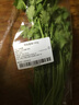 帶根香菜100g 曬單實(shí)拍圖