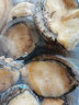 森農樂(lè )鮑魚(yú)鮮活冷凍特大生鮮大號貝類(lèi)海鮮水產(chǎn)超大即食佛跳墻食材鮑魚(yú)汁 14-16只/斤【中大鮑2斤 實(shí)發(fā)28-30只】 曬單實(shí)拍圖
