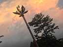 戶外風(fēng)扇馬燈太陽能帳篷野營燈多功能可充電露營燈手提工作應(yīng)急燈 銀色風(fēng)扇馬燈+輸出 巨亮（USB充電+輸出+風(fēng)扇+太陽能 曬單實拍圖