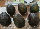 京鮮生 秘魯牛油果 微催熟6粒 單果200g起 源頭直發(fā) 中秋水果禮盒 曬單實(shí)拍圖