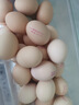 葛溪正太富硒鮮雞蛋新鮮無(wú)公害鮮源頭直發(fā)江西土雞蛋散養禮盒 禮盒裝有機富硒雞蛋30枚*50g/枚 曬單實(shí)拍圖