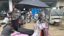 齊選電動(dòng)車(chē)全封閉雨棚蓬新款全包圍電瓶車(chē)雨傘摩托車(chē)擋風(fēng)擋雨加厚夏季 不銹鋼款【黑麥穗】遮雨棚 曬單實(shí)拍圖