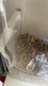 歐恩焙加拿大原裝進(jìn)口烘焙糧中大型犬羊肉味狗糧11.34kg 曬單實(shí)拍圖