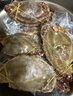 舟山梭子蟹鮮活特大野生大螃蟹新鮮冷凍海鮮水產(chǎn)海蟹飛蟹白蟹順豐 3-5兩/只【3斤 當季船供】 曬單實拍圖