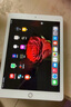 小米 華為 榮耀 蘋果 Apple 聯(lián)想小新 Oppo Vivo 三星 一加 拯救者 iPad 百元 千元 學生 網(wǎng)課 二手平板電腦 蘋果 曬單實拍圖