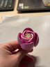 樂高（LEGO）10342 粉黛花束 花植系列 男生女生拼接積木模型玩具生日禮物 曬單實拍圖