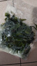 大連裙帶菜 鮮海帶非干貨海帶嫩苗兒童海菜海白菜海藻菜涼拌 裙帶菜嫩葉500g 曬單實拍圖