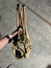戶外折疊椅露營椅子躺椅便攜折疊月亮椅小凳子折疊凳釣魚凳 成人款【暖沙黃】+收納袋 便攜折疊桌椅 曬單實(shí)拍圖