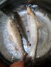 達億瓦（DAIWA）新款進口臺釣竿魚竿手竿超輕硬黑坑竿碳素休閑野釣魚竿十大名牌 3.5H 28調(diào) 3.6米含后堵82g 曬單實拍圖