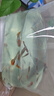 孔雀魚(yú)天使魚(yú) 純種觀(guān)賞魚(yú)淡水好養熱帶小型觀(guān)賞魚(yú) 孔雀魚(yú)24條送備損6條【發(fā)30條】 曬單實(shí)拍圖