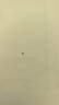 御邪定價(jià)足金999蹦迪珠黃金2MM散珠硬金爆閃DIY手串散金子 2mm蹦迪珠：約0.03g（預售） 曬單實(shí)拍圖