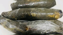 京地達湖北洪湖新鮮蓮藕粉藕凈重2.8斤(3-4節(jié))帶泥生鮮蔬菜源頭直發(fā)包郵 曬單實拍圖