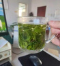 北京同仁堂酸棗芽茶泰山酸棗葉子嫩芽茶泡水好睡眠山棗葉炒酸棗仁芽棗牙新茶 [安睡整晚]酸棗芽茶500g 曬單實(shí)拍圖