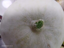 正宗海南冰淇淋玉菇甜瓜 9斤新鮮水果當季小香瓜瓜蜜羊角哈密5瓜 5斤裝（1-3個(gè)） 曬單實(shí)拍圖