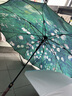 雪堡vonlilienfeld長(cháng)柄傘大號自動(dòng)雨傘女生高顏值暴雨專(zhuān)用傘防風(fēng)加固 一片式長(cháng)柄傘-玫瑰花園 曬單實(shí)拍圖