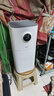 美的（Midea）【母嬰級(jí)】空氣凈化器家用除甲醛除煙味異味過敏源寵物吸貓毛空氣消毒機(jī)森林家L1 Lite國(guó)家補(bǔ)貼 曬單實(shí)拍圖