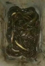 野鉤通金裝版升級版紅色袋子鱔魚(yú)抓黃鱔小藥誘食劑誘餌捕泥鰍 2024野鉤通5包(新升級)2025 曬單實(shí)拍圖