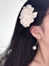 伊燦長款流蘇仿珍珠耳釘女絕美小眾設計高級感耳飾2025年新款爆款耳環(huán) 珍珠耳飾 100000 曬單實拍圖
