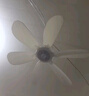 志高（CHIGO）小吊扇 小型電風(fēng)扇 小風(fēng)扇家用學(xué)生宿舍床上大風(fēng)力6頁蚊帳扇懸掛式微風(fēng)吊扇便攜小電扇 新升級8葉款-大風(fēng)力 曬單實(shí)拍圖