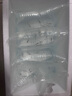 純種巴西寶蓮燈活體熱帶魚觀賞魚群游燈科魚小型魚苗寵物淡水魚 1.8-2.2cm寶蓮燈4條送1條備損 曬單實(shí)拍圖