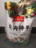 花友秀萬壽菊混色種子花卉種籽易活盆栽花卉庭院室外野花種子花海打造】 曬單實(shí)拍圖
