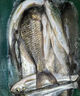 翹嘴小藥釣魚餌料黑坑野釣專攻釣大翹嘴白條魚專用餌料誘魚開口劑 1瓶【翹嘴狂提】新手也能爆護(hù) 曬單實(shí)拍圖
