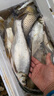 本?。˙enTing） 太極宗師千斤頂大物竿巨物臺(tái)釣竿湖庫(kù)巨物釣魚竿鰱鳙輕量 8.1m 千斤頂超輕大物（30+） 曬單實(shí)拍圖