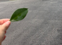 戴維貝拉（DAVE＆BELLA）兒童連帽外套小童撞色長(cháng)袖上衣秋季新款寶寶衣服男童戶(hù)外防風(fēng)衣 熔巖紅【現貨】 100 cm（建議身高90-100cm） 曬單實(shí)拍圖