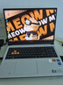 COLORFIRE MEOW橘寶R16 24【國家補貼20%】七彩虹16英寸銳龍R9游戲筆記本電腦 (R9-7845HX 24G 1T RTX4060） 曬單實拍圖