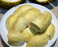 京鮮生 進(jìn)口金枕榴蓮 巴掌榴蓮 2.9-3.9斤 1個(gè)裝 新鮮水果 源頭直發(fā) 曬單實(shí)拍圖