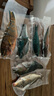 西沙海魚(yú)套餐青衣魚(yú)珊瑚礁魚(yú)類(lèi)石斑魚(yú)鯛魚(yú)海魚(yú)組合禮盒禮包2件9折 2件9折 西沙海魚(yú)套餐5斤（隨機發(fā)2~8條） 曬單實(shí)拍圖