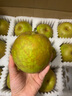 橙市碼頭上海莊行甜蜜梨【JD送貨到家】奉賢特產(chǎn)翠冠密梨大果蜜梨子禮盒裝 凈重9斤大果單果270-370g不含禮盒 曬單實(shí)拍圖