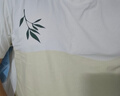 貓人情侶睡衣男士睡衣男100%純棉熊貓印花漸變青少年圓領(lǐng)短袖米色XL 曬單實(shí)拍圖