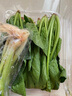 濰坊菠菜苗 250g 曬單實(shí)拍圖