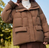 雪中飛2025冬季新款簡(jiǎn)約純色翻領(lǐng)羽絨服女時(shí)尚百搭保暖短款外套 咖色 L 曬單實(shí)拍圖