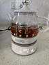 膳魔師（THERMOS） 迷你養(yǎng)生壺辦公室煮茶器電水壺恒溫電熱水壺玻璃花茶壺養(yǎng)生杯 禮物 EHA-1602E -G 0.55L 曬單實拍圖