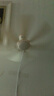 祥瓏夏天客廳墻上小型小風(fēng)扇學(xué)生宿舍廚房辦公室家用電風(fēng)扇衛生間壁扇 米白七葉壁扇（升級款） 曬單實(shí)拍圖